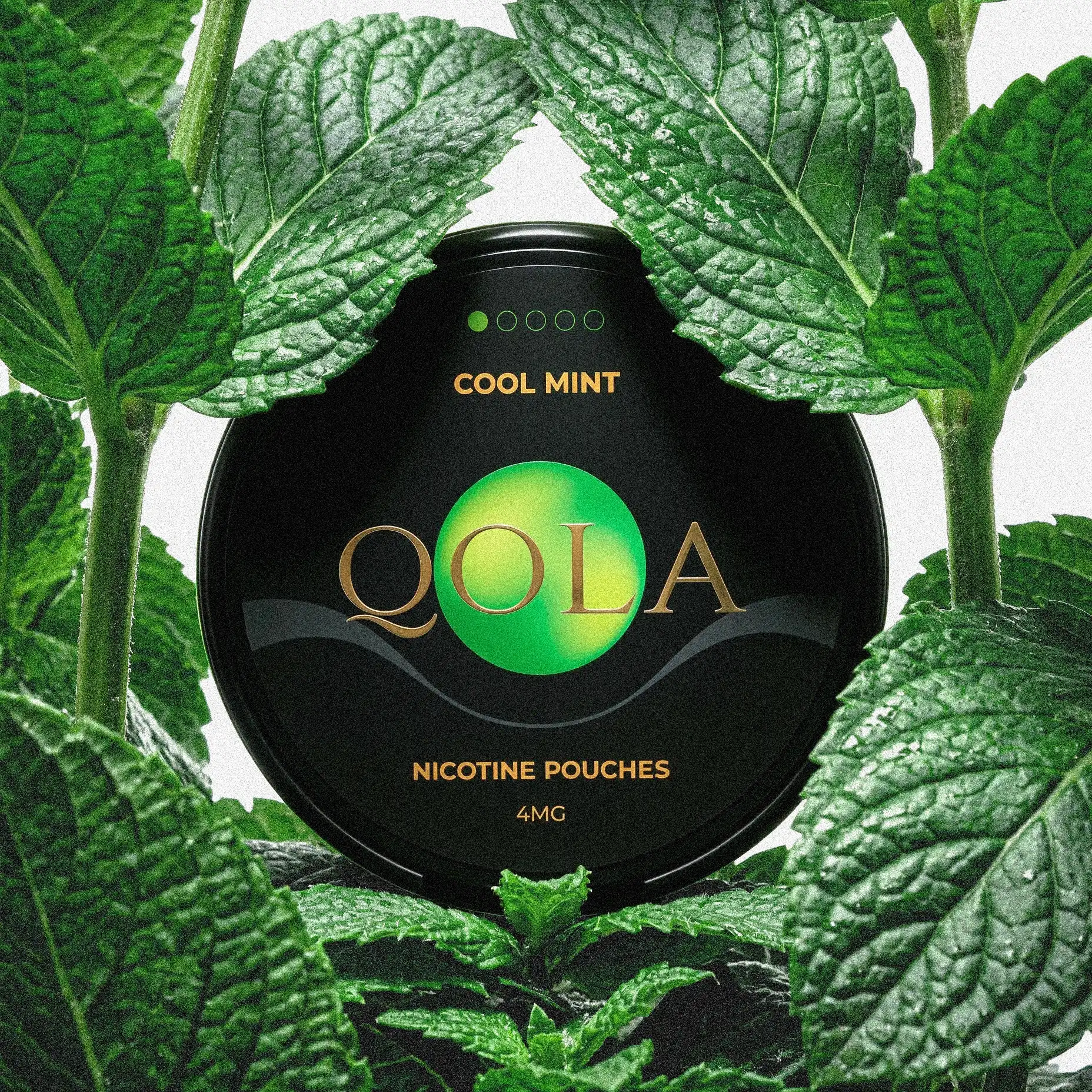 Cool Mint 4mg flavour