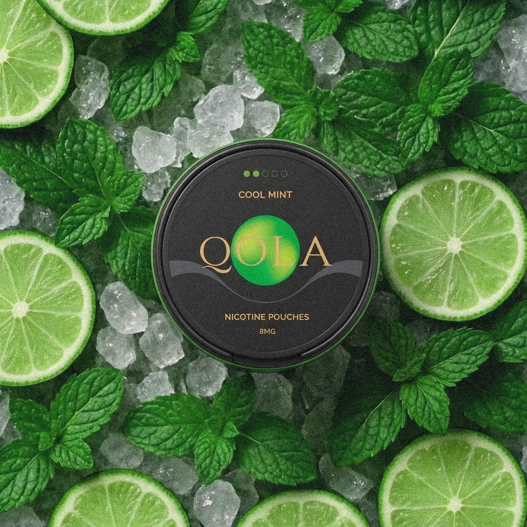 Cool Mint 8mg flavour