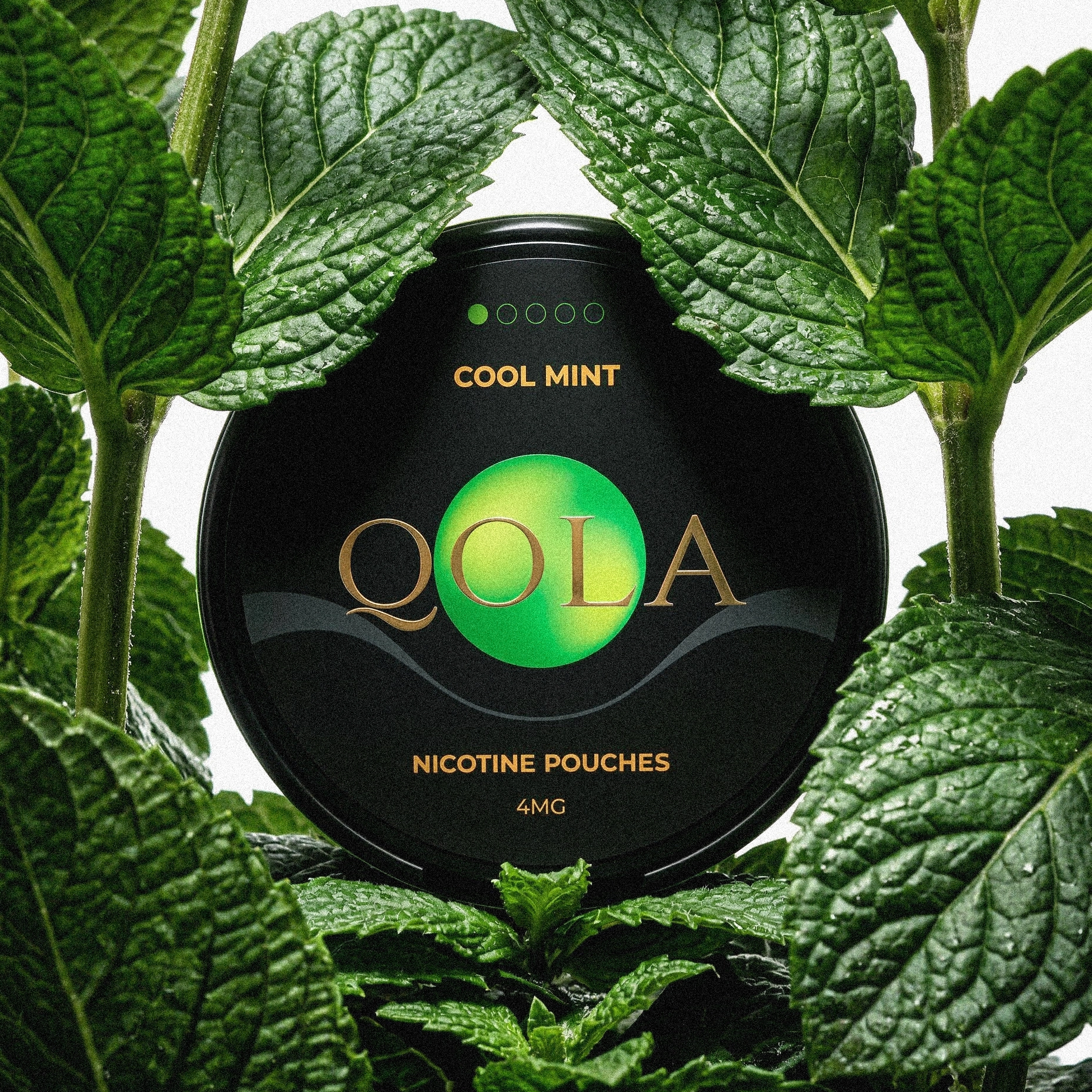 Cool Mint 4mg – 5-Pack flavour